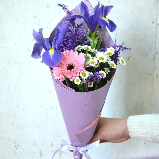 Синеглазка от 1 760 руб.