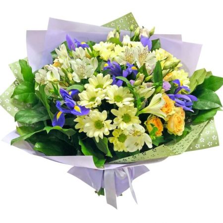 Навстречу мечте