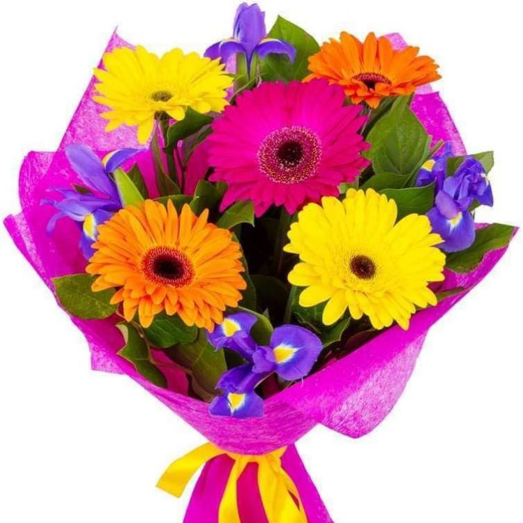 Звонкий смех от 2 660 руб.