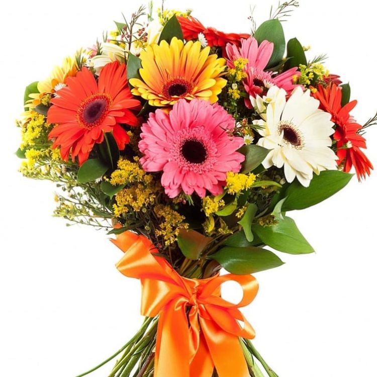 Самая счастливая от 3 420 руб.