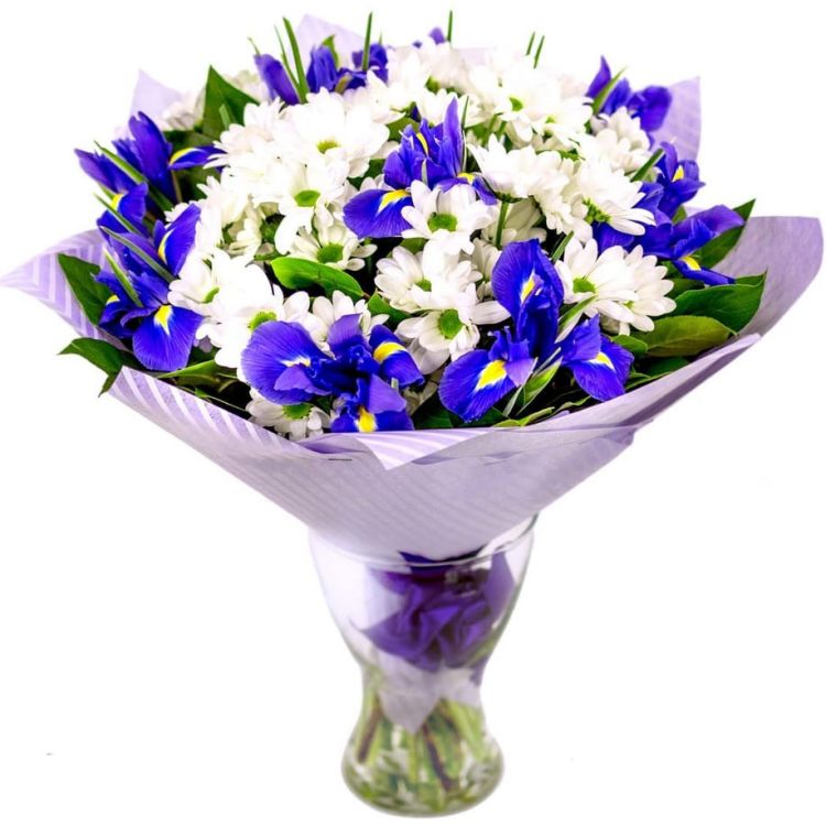 Мальвина от 4 810 руб.