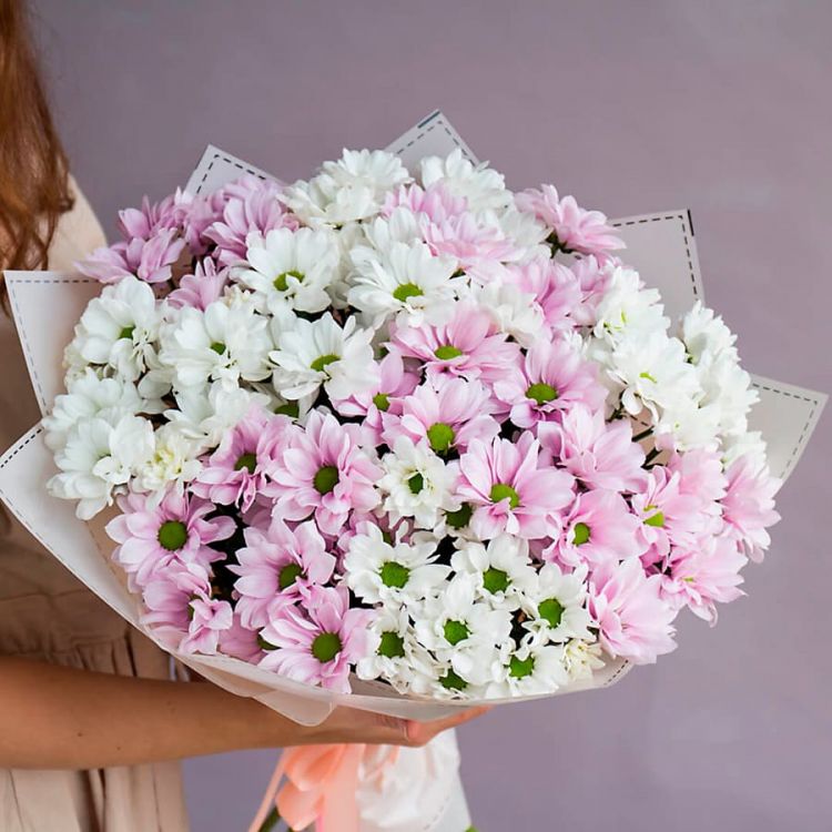 Париж подождет от 4 670 руб.