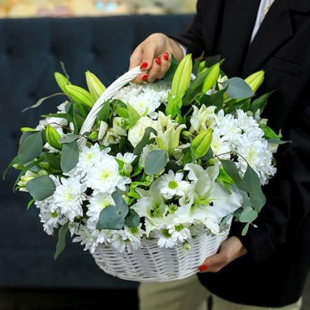 Звездное небо