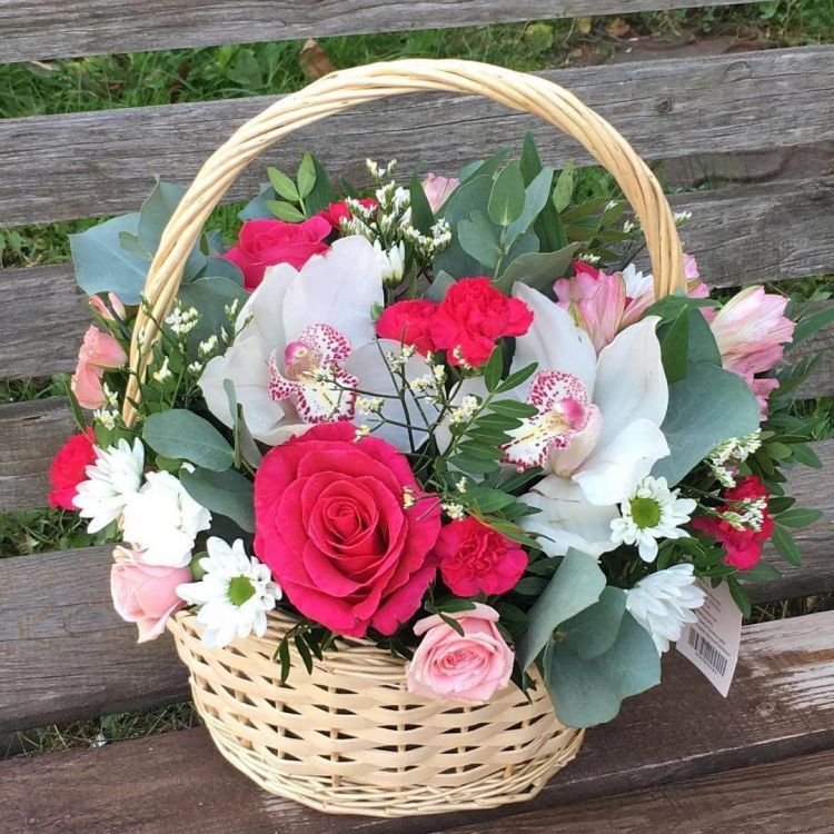 Нежный город от 5 730 руб.